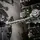 Best Deburring Tool for Machinists and How Noga and Shaviv Compare